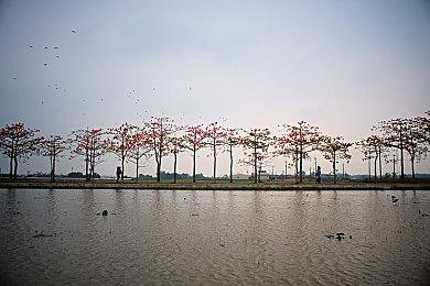 《碧蓝幻想》11周年纪念活动公开 12神将物语登场
